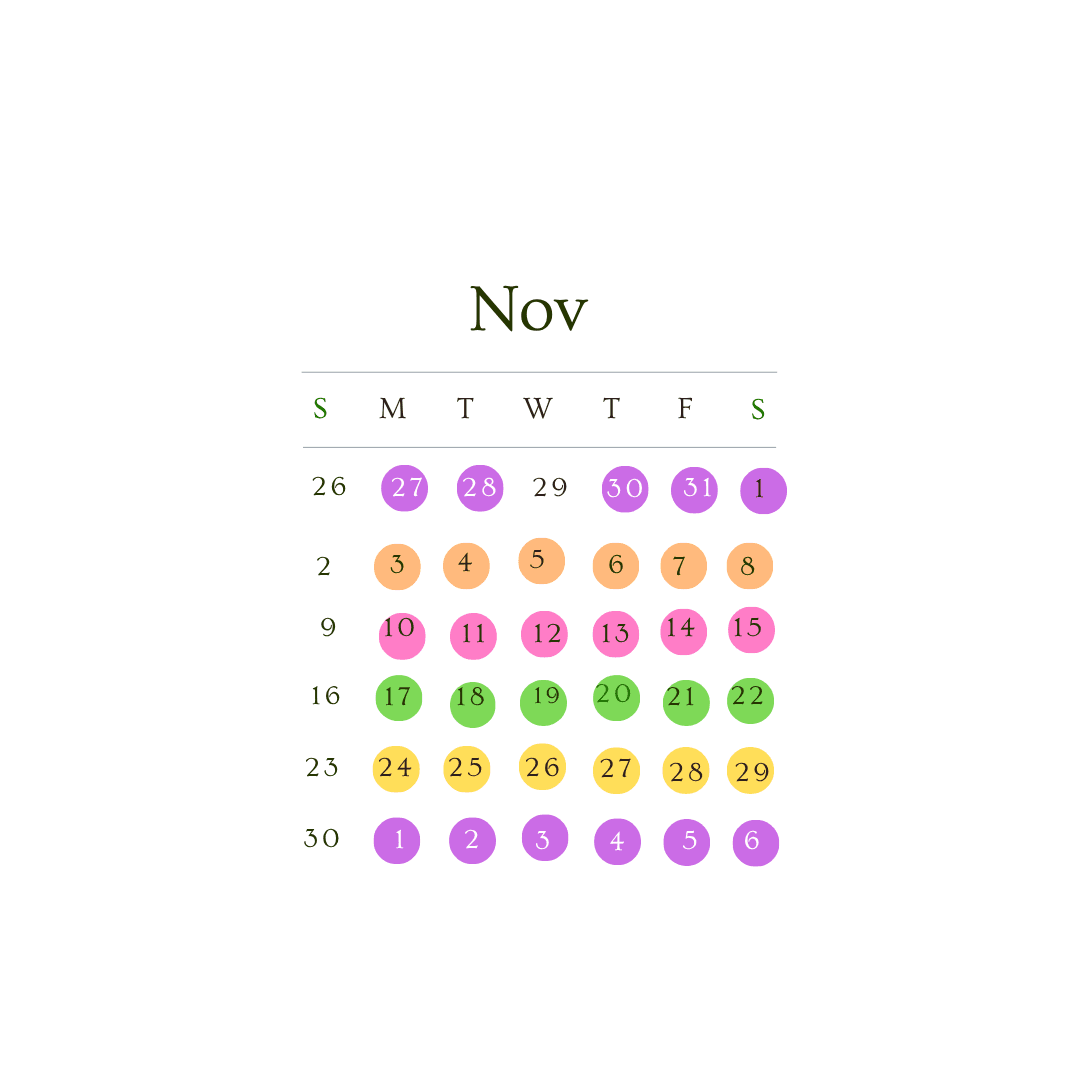 Weekly Menu Rotation (Nov)     